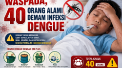 Waspada, 40 Orang Alami Demam Infeksi Dengue