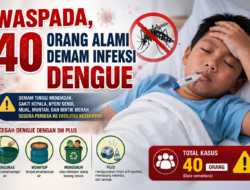 Waspada, 40 Orang Alami Demam Infeksi Dengue