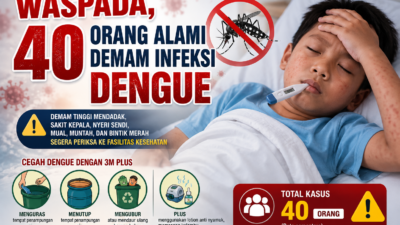 Waspada, 40 Orang Alami Demam Infeksi Dengue