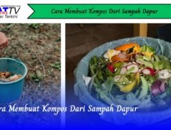 Cara Membuat Kompos Dari Sampah Dapur