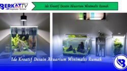 Ide Kreatif Desain Akuarium Minimalis Rumah