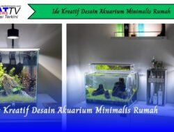 Ide Kreatif Desain Akuarium Minimalis Rumah