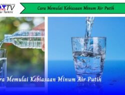 Cara Memulai Kebiasaan Minum Air Putih