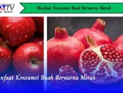 Manfaat Konsumsi Buah Berwarna Merah
