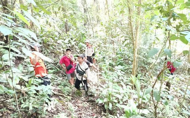 Lansia Hilang di Kebun Karet