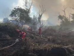 Dua Hektare Lahan Terbakar, Tiga Hari Satgas Padamkan Api