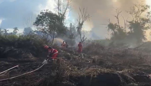 Dua Hektare Lahan Terbakar, Tiga Hari Satgas Padamkan Api