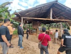 Didatangi Polisi, Sawmil Tidak Beroperasi. Pemilik Ngaku Mengolah Kayu Nangka dan Cempedak