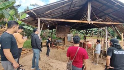 Didatangi Polisi, Sawmil Tidak Beroperasi. Pemilik Ngaku Mengolah Kayu Nangka dan Cempedak