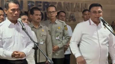 Kartel Sawit Turunkan Harga TBS, 300 Perusahaan Diperiksa