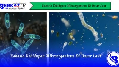 Rahasia Kehidupan Mikroorganisme di Dasar Laut