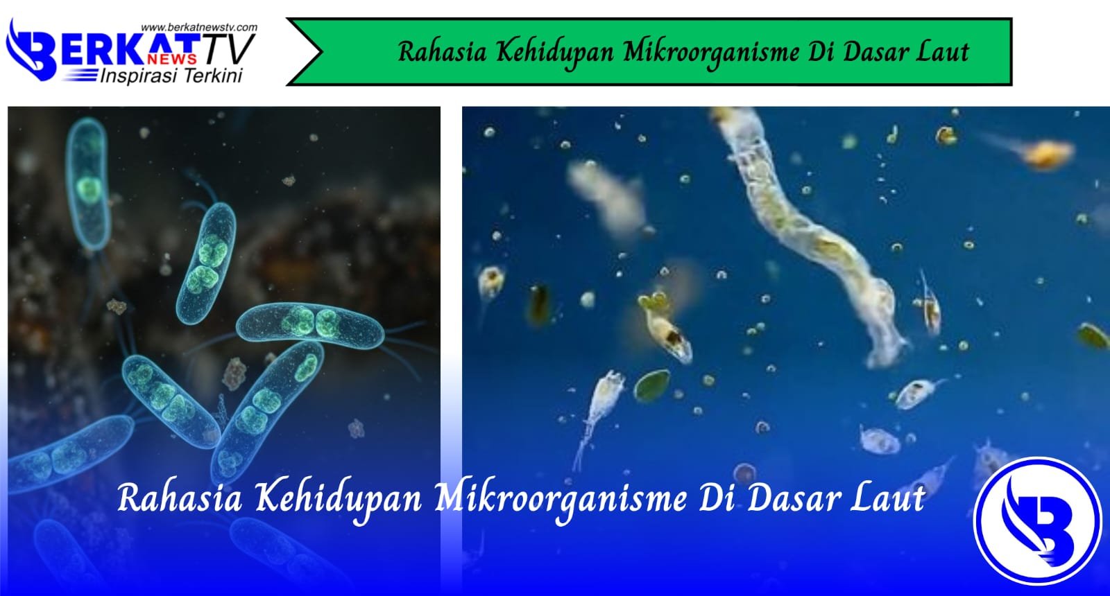 Rahasia Kehidupan Mikroorganisme di Dasar Laut