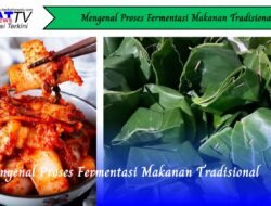 Mengenal Proses Fermentasi Makanan Tradisional