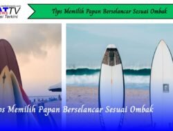 Tips Memilih Papan Berselancar Sesuai Ombak
