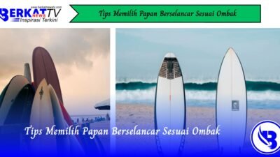 Tips Memilih Papan Berselancar Sesuai Ombak