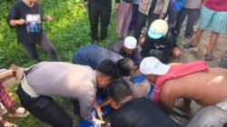 Pemotor Tewas Gagal Salip Pick Up di Trans Kalimantan