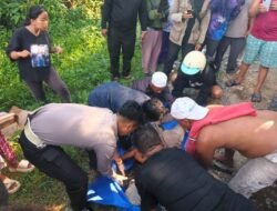 Pemotor Tewas Gagal Salip Pick Up di Trans Kalimantan