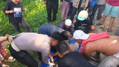 Pemotor Tewas Gagal Salip Pick Up di Trans Kalimantan
