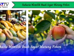 Rahasia Memilih Buah Segar Matang Pohon