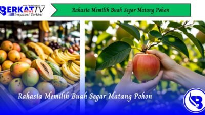 Rahasia Memilih Buah Segar Matang Pohon
