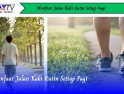 Manfaat Jalan Kaki Rutin Setiap Pagi