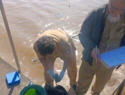 DLH Uji Mutu Air Sungai Tercemar Tumpahan Minyak Goreng