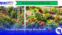 Pola Chaos Gardening Untuk Kebun Rumah