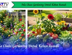 Pola Chaos Gardening Untuk Kebun Rumah