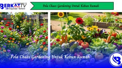 Pola Chaos Gardening Untuk Kebun Rumah