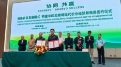 Firman's Grup Kerjasama Industri Bawang Putih Dengan Jinchunyu Seed Technology