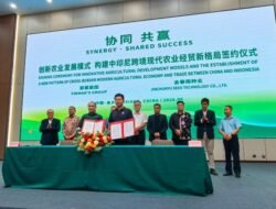 Firman’s Group Kerjasama Industri Bawang Putih Dengan Jinchunyu Seed Technology