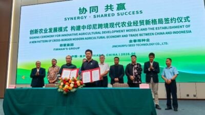 Firman's Grup Kerjasama Industri Bawang Putih Dengan Jinchunyu Seed Technology