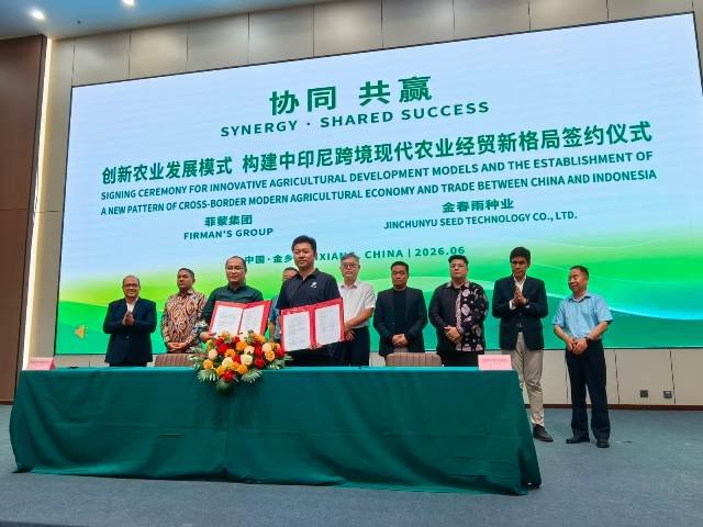 Firman's Grup Kerjasama Industri Bawang Putih Dengan Jinchunyu Seed Technology