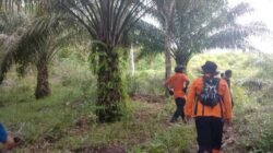 Warga Ketapang Hilang di Kebun Sawit Sekadau
