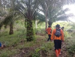 Warga Ketapang Hilang di Kebun Sawit Sekadau
