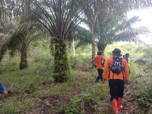 Warga Ketapang Hilang di Kebun Sawit Sekadau