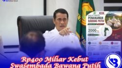 Pemerintah Anggarkan Rp400 Miliar Kebut Swasembada Bawang Putih