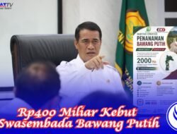 Pemerintah Anggarkan Rp400 Miliar Kebut Swasembada Bawang Putih