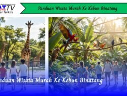 Panduan Wisata Murah Ke Kebun Binatang