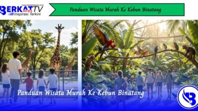 Panduan Wisata Murah Ke Kebun Binatang