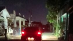 Pengamat Sebut Kinerja PLN Rapuh