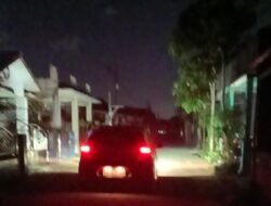 Pengamat Sebut Kinerja PLN Rapuh