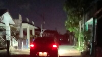 Pengamat Sebut Kinerja PLN Rapuh