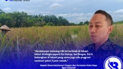 28 Ribu Ha Lahan Pertanian Tumpang Tindih Program Tiga Juta Rumah