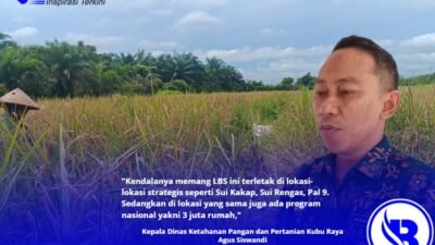 28 Ribu Ha Lahan Pertanian Tumpang Tindih Program Tiga Juta Rumah