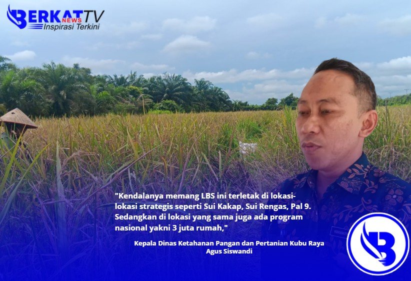 28 Ribu Ha Lahan Pertanian Tumpang Tindih Program Tiga Juta Rumah