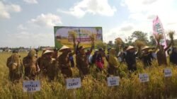 Sujiwo Intruksikan Kadis dan PPL Turun Lapangan Inventarisir Kebutuhan Petani