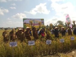 Sujiwo Intruksikan Kadis dan PPL Turun Lapangan Inventarisir Kebutuhan Petani