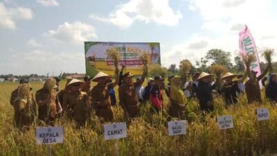 Sujiwo Intruksikan Kadis dan PPL Turun Lapangan Inventarisir Kebutuhan Petani