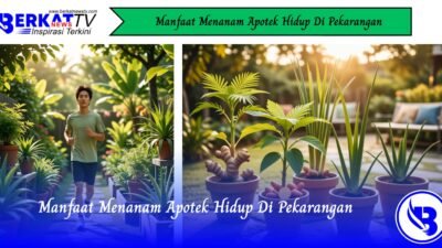 Manfaat Menanam Apotek Hidup di Pekarangan